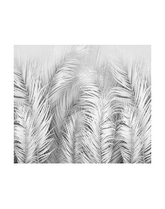 Фотообои листовые Citydecor Пальмовые листья Air 74