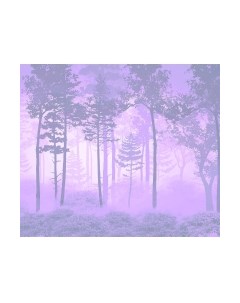 Фотообои листовые Citydecor Таинственный лес 13