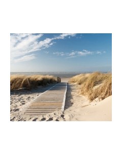 Фотообои листовые Citydecor Природа 13