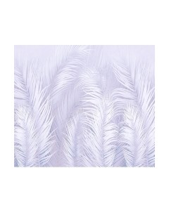 Фотообои листовые Citydecor Пальмовые листья Air 67