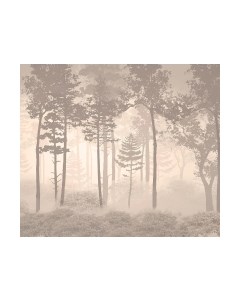 Фотообои листовые Citydecor Таинственный лес 10