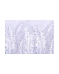 Фотообои листовые Citydecor Пальмовые листья Air 67