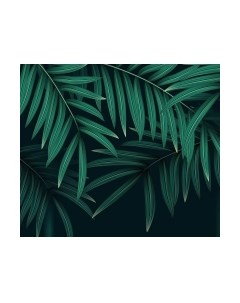 Фотообои листовые Citydecor Цветы и Растения 137