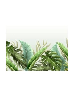 Фотообои листовые Citydecor Цветы и Растения 129