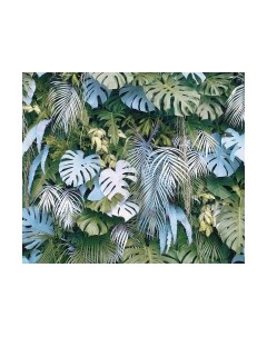 Фотообои листовые Citydecor Цветы и Растения 145