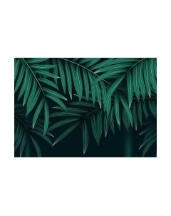 Фотообои листовые Citydecor Цветы и Растения 137