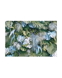 Фотообои листовые Citydecor Цветы и Растения 145