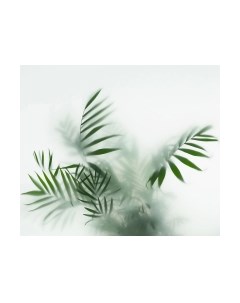 Фотообои листовые Citydecor Цветы и Растения 155