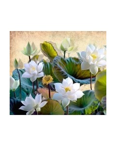 Фотообои листовые Citydecor Цветы и Растения 163