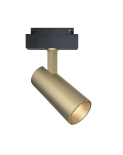 Трековый светильник Maytoni Focus TR019-2-15W3K-MG