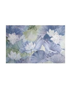 Фотообои листовые Citydecor Blossom 18