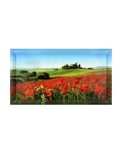 Картина Декарт 8Л3072