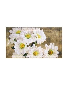 Картина Декарт Белые ромашки 8Л2392