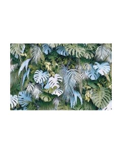 Фотообои листовые Citydecor Цветы и растения 145