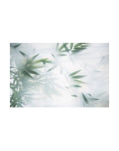 Фотообои листовые Citydecor Цветы и растения 153