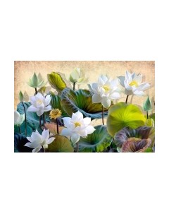 Фотообои листовые Citydecor Цветы и растения 163