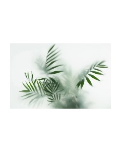 Фотообои листовые Citydecor Цветы и растения 155