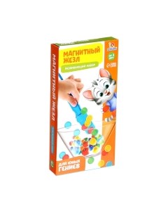Развивающий игровой набор Zabiaka IQ Магнитный жезл / 4529095
