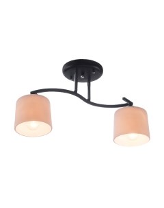 Потолочный светильник НПБ 02-2x60-101 / N6114/2 Aitin-pro