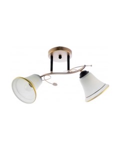 Потолочный светильник Aitin-Pro НПБ 02-2х60-101 / DA5095/2C Aitin-pro