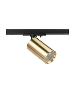 Трековый светильник ЭРА TR39-GU10 BS / Б0053311 Эра
