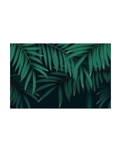 Фотообои листовые Citydecor Цветы и растения 137