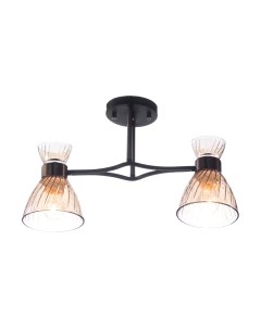 Потолочный светильник НПБ 02-2x60-101 / N6198/2 Aitin-pro