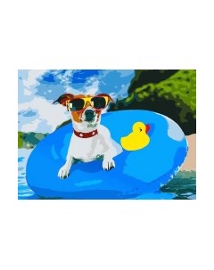 Картина по номерам Песик плавает в круге / ХК-6837 Рыжий кот