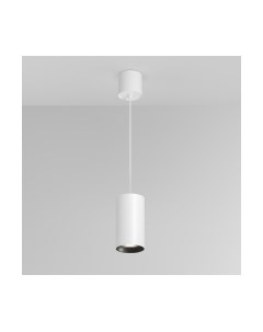 Потолочный светильник Maytoni Pendant P100PL-20W4K-W