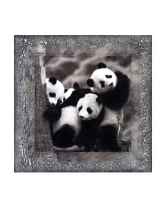 Картина Декарт Мишки панды 8Л0204