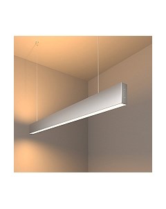 Потолочный светильник Elektrostandard 101-200-40-103 40W 3000K