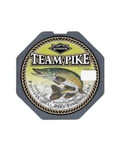 Леска монофильная Konger Team Pike 0.28мм 320м / 214002028