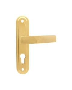 Ручка дверная Apecs HP-55.0601-G