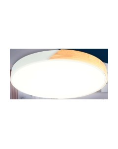 Потолочный светильник Ambrella FZ1301