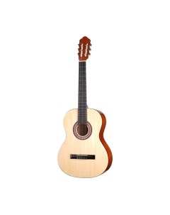 Акустическая гитара Homage LC-3900-N