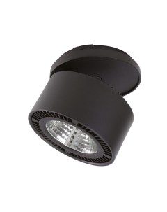 Точечный светильник Lightstar Forte 213847