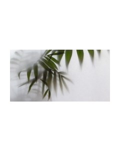 Фотообои листовые Citydecor Цветы и растения 158