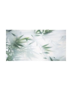 Фотообои листовые Citydecor Цветы и растения 153