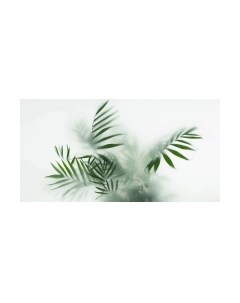 Фотообои листовые Citydecor Цветы и растения 155