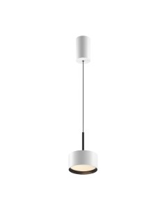 Потолочный светильник Maytoni Pendant P102PL-12W4K-W