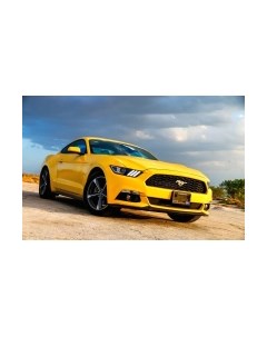 Фотообои листовые Citydecor Транспорт 24