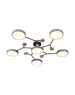 Потолочный светильник Velante 446-207-06