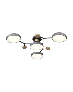 Потолочный светильник Velante 446-207-04