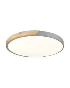 Потолочный светильник Velante 445-267-01