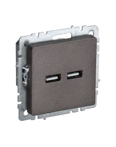 Розетка IEK Brite BR-U21-D31-K45 Iek