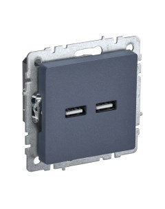 Розетка IEK Brite BR-U21-D31-K35 Iek