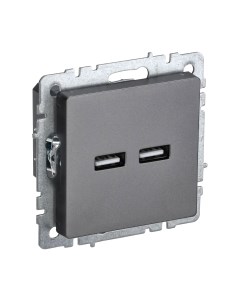 Розетка IEK Brite BR-U21-D31-K46 Iek