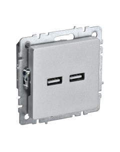 Розетка IEK Brite BR-U21-D31-K47 Iek