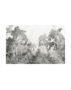 Фотообои листовые Citydecor Знойные тропики 14