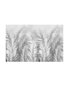 Фотообои листовые Citydecor Пальмовые листья AIR 74